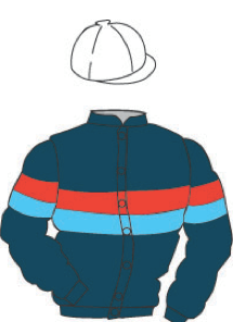 Owner Silks