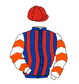 Owner Silks