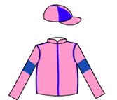Owner Silks