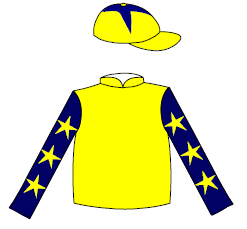 Owner Silks
