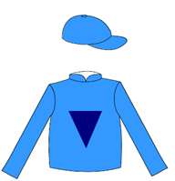 Owner Silks