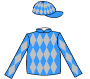 Owner Silks
