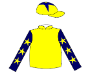 Owner Silks