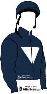 Owner Silks
