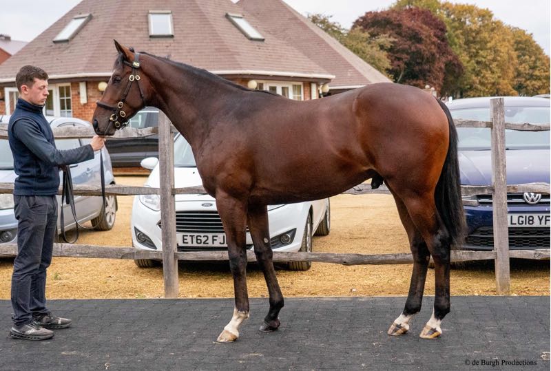 ex If You Can Dream 24