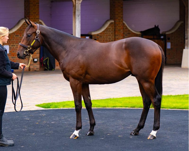 ex Gatecrasher Girl 24