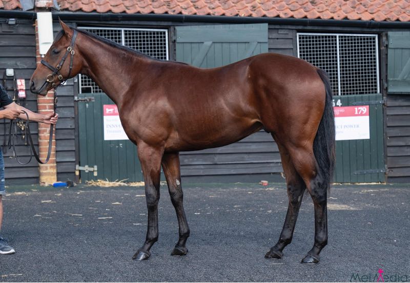 ex Passthecourvasier 24