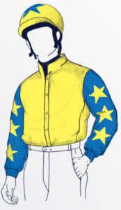 Owner Silks