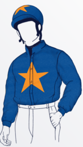 Owner Silks