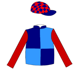 Owner Silks