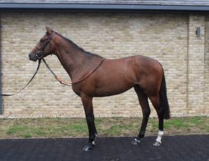 Owner Silks