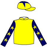 Owner Silks