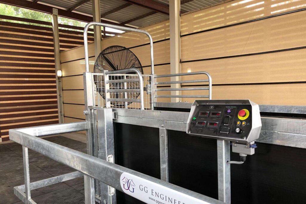  Equine Treadmill